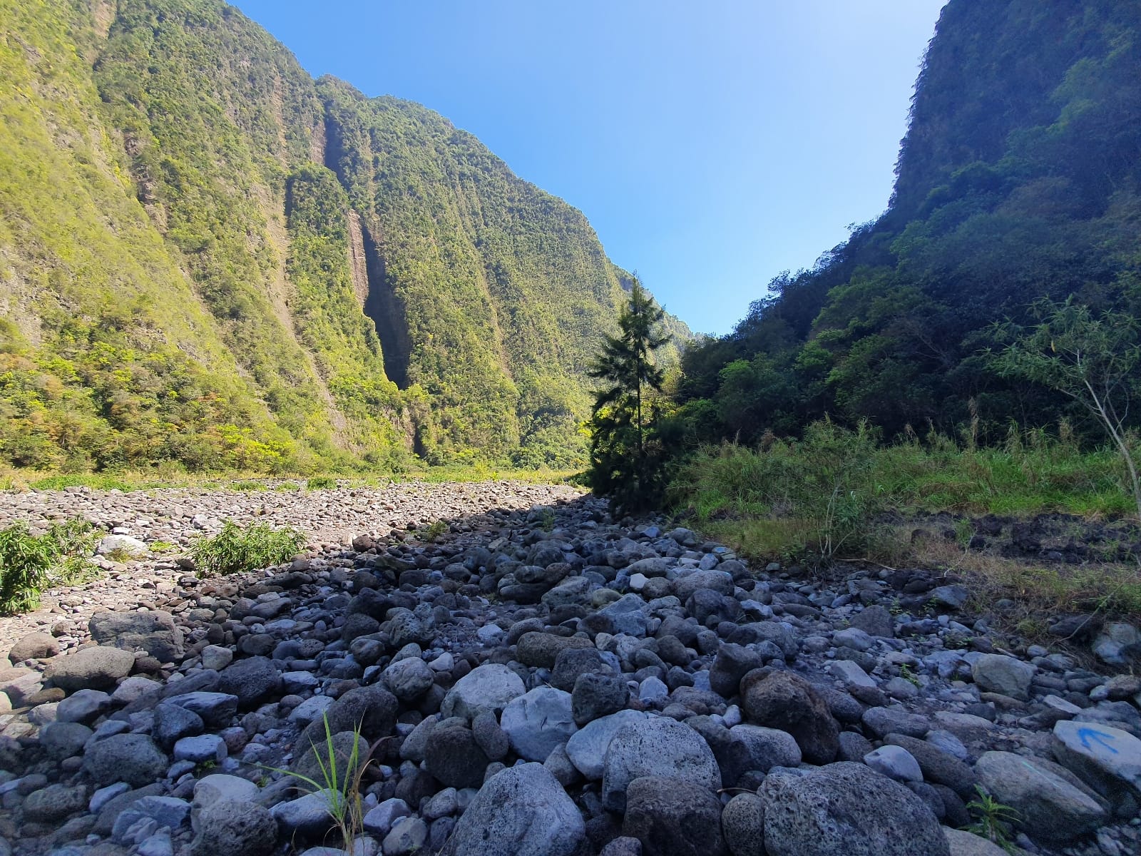 Suggestion du moment